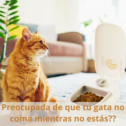 Dispensador de comida para mascotas